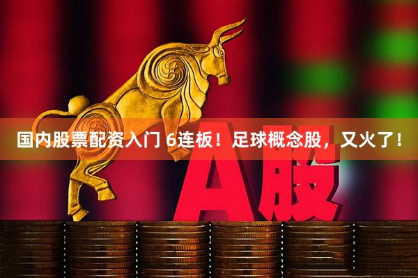 国内股票配资入门 6连板！足球概念股，又火了！