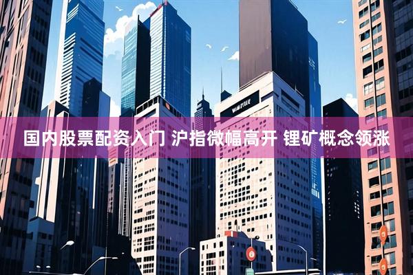国内股票配资入门 沪指微幅高开 锂矿概念领涨