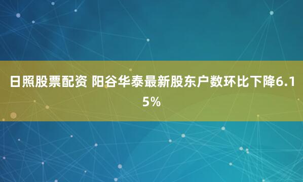 日照股票配资 阳谷华泰最新股东户数环比下降6.15%