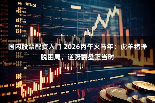 国内股票配资入门 2026丙午火马年：虎羊猪挣脱困局，逆势翻盘正当时
