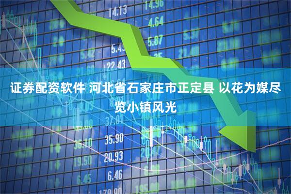 证券配资软件 河北省石家庄市正定县 以花为媒尽览小镇风光